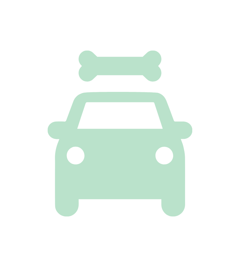 pet taxi